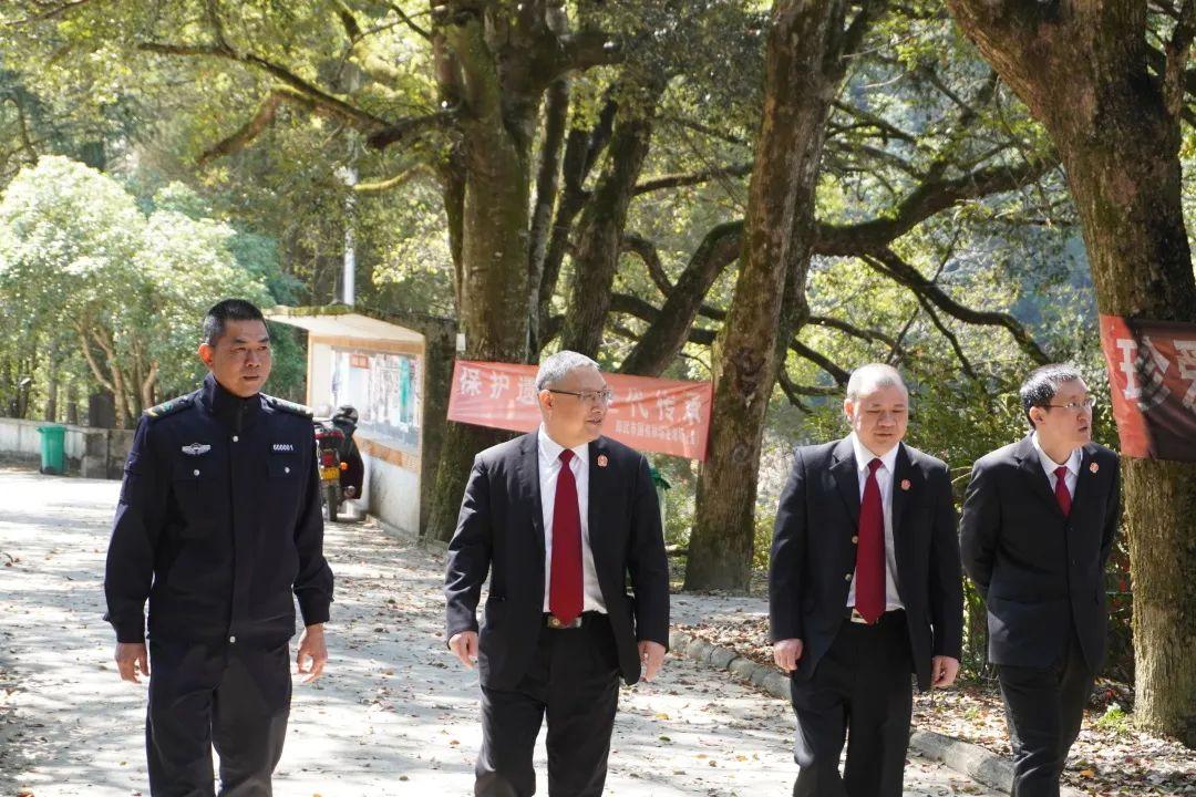 草木雕零，預垣敗瓦。臉部變化會觀察打生肖请全面释义、解释与落实、构建解答解释落实
